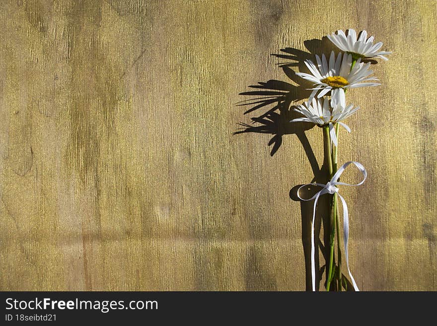 Bouquet Of White Daisies On A Wooden Background.