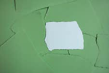 Green Torn Paper Texture. Art Background. Stock Image