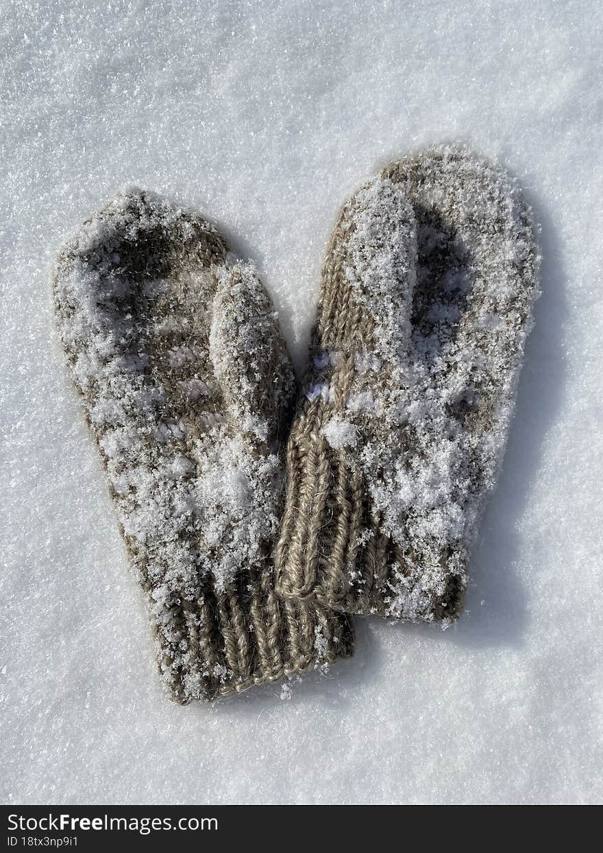 Warm Knitted Mittens Lie In The Snow. Winter Concept.