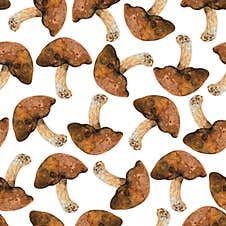 Watercolor Brown Mushrooms Seamless Pattern. Stock Photo