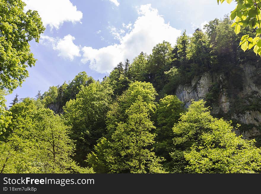 canyon in the mountains, panorama of the area, summer season, awakening in nature and the birth of a new day