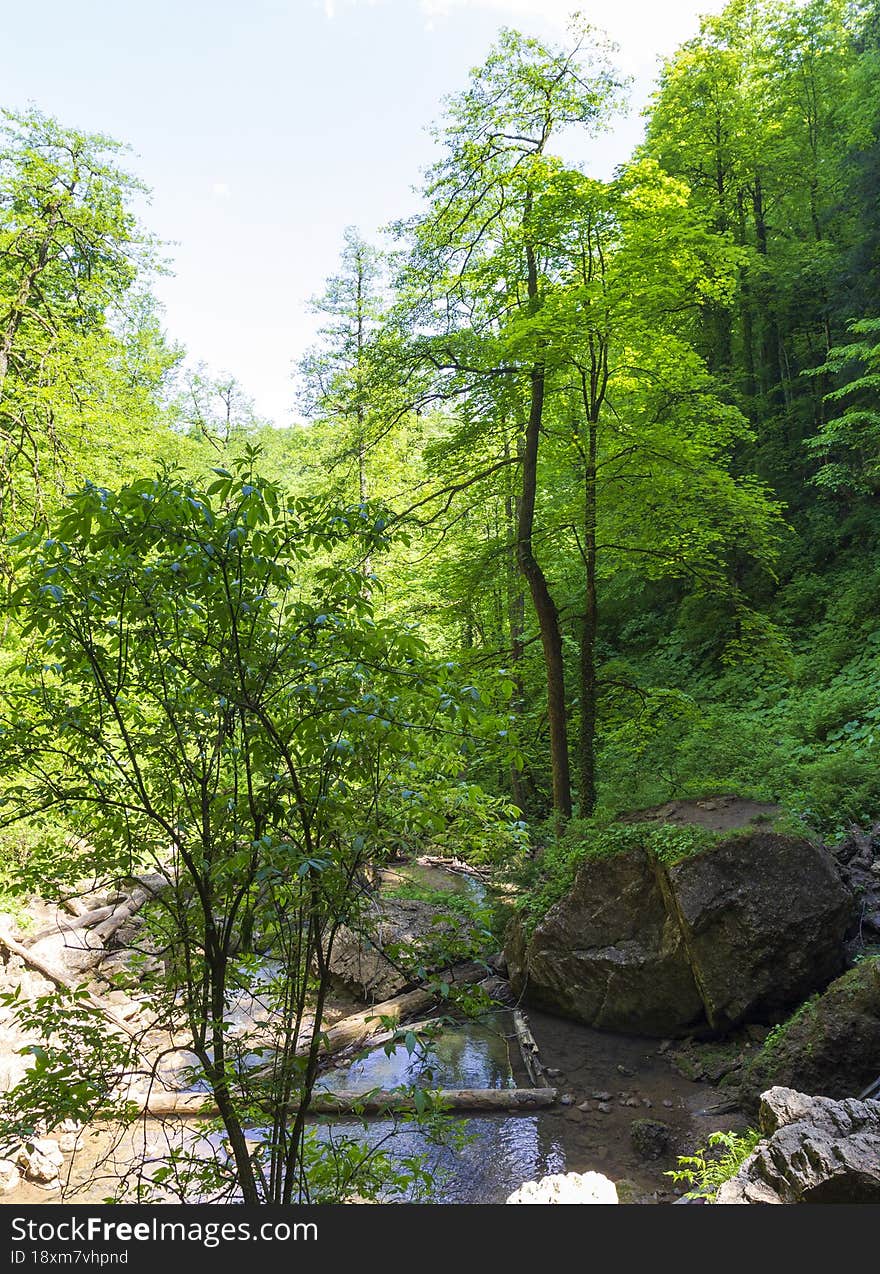 canyon in the mountains, panorama of the area, summer season, awakening in nature and the birth of a new day