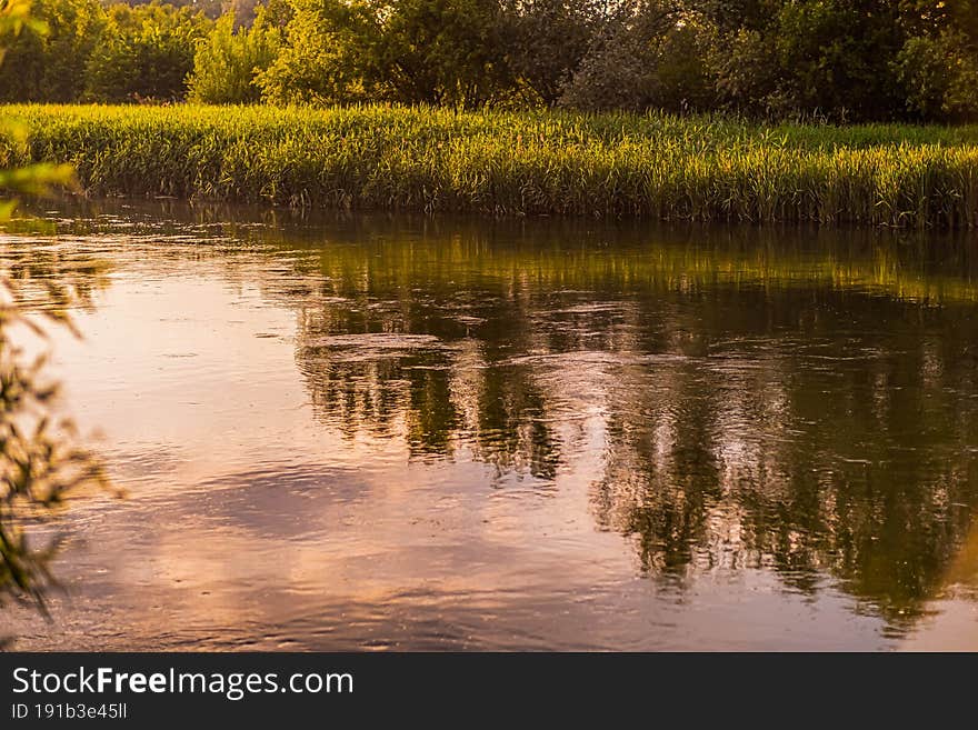 Beautiful Delta River Romanian Nature