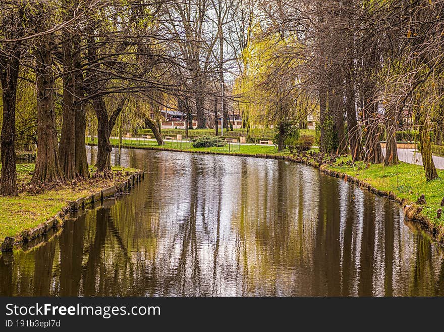 Beautiful river in the park