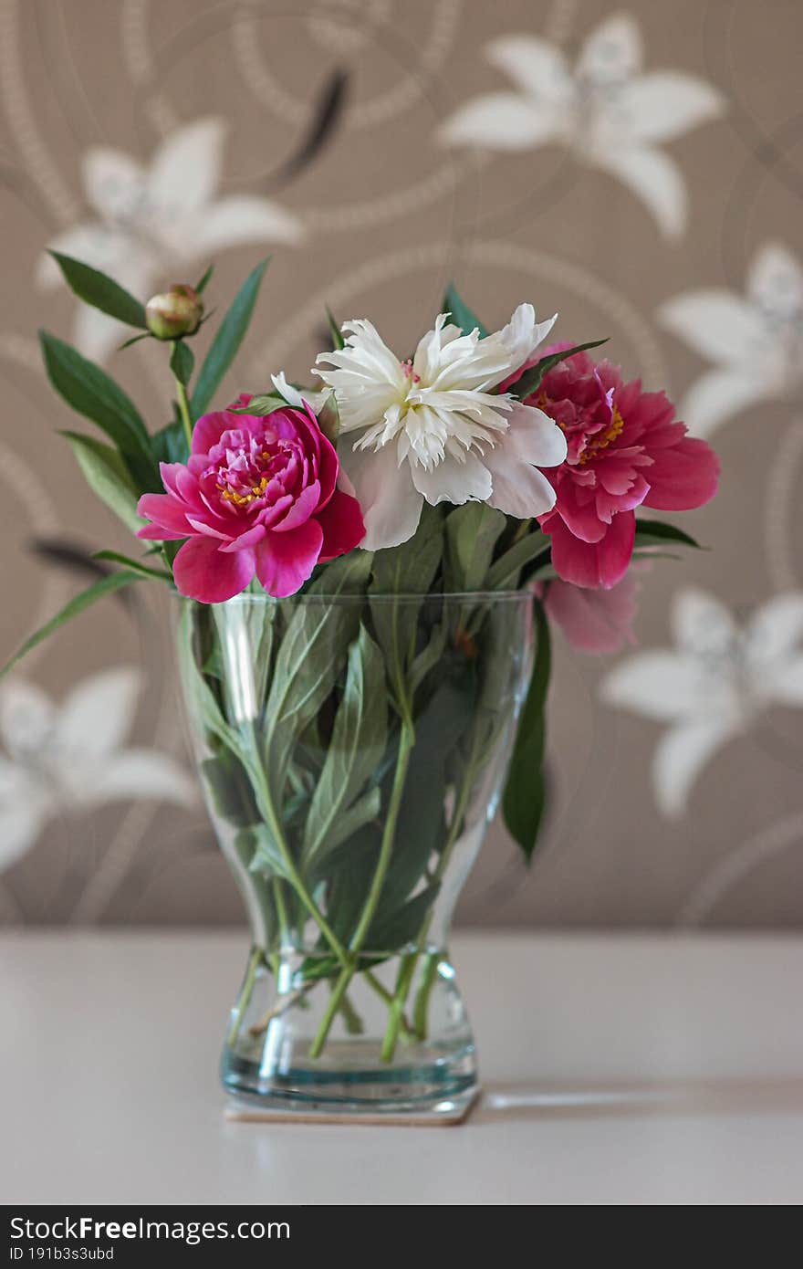 Peonies in a vase Beautiful Flowers