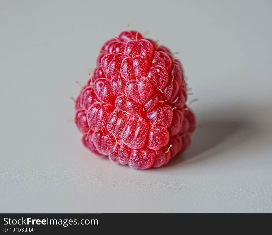 Single Raspberry Close View Macro