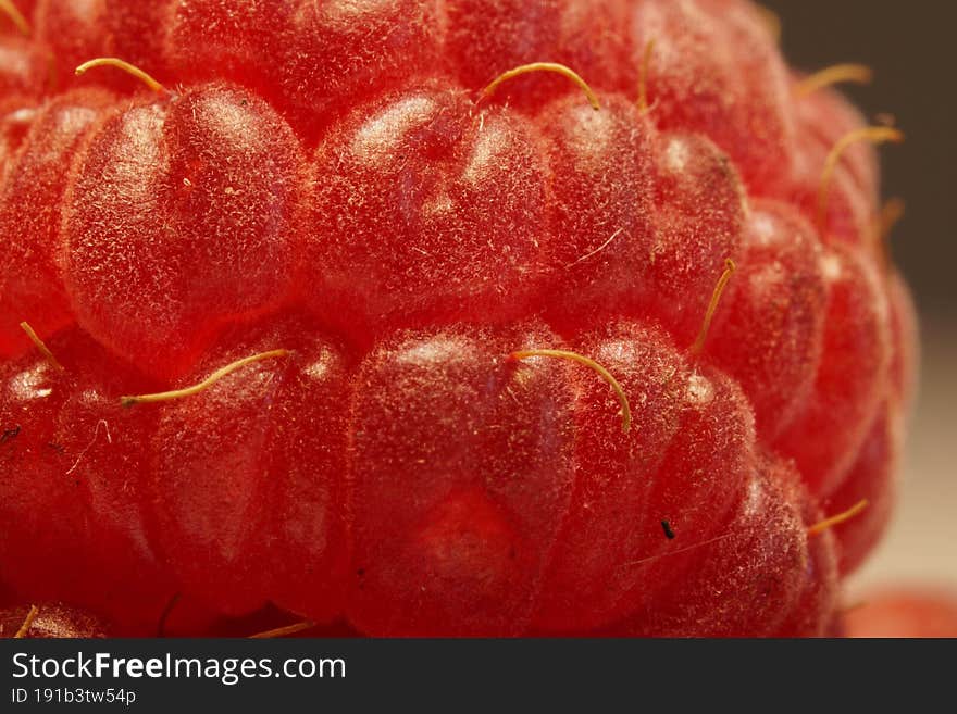 Raspberry Macro view Close Up