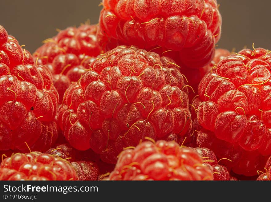 Raspberry Macro View Close Up