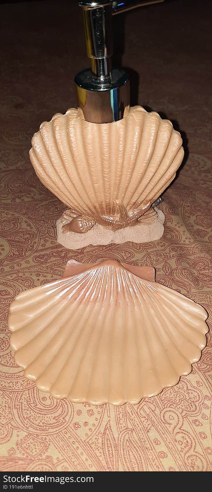 Shell shape bottle and shell shape soap dish
