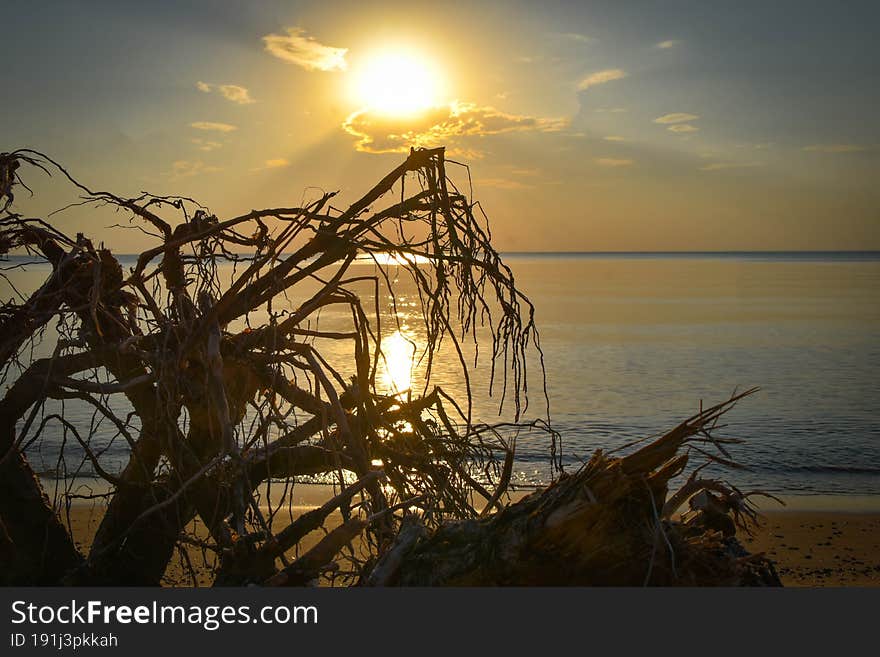 Beautiful coast view in Latvia