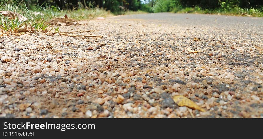 A View Of A Rural Tar Road In Sri Lanka. A Beautiful Green Environment With Sand, Grass And Various Plants.