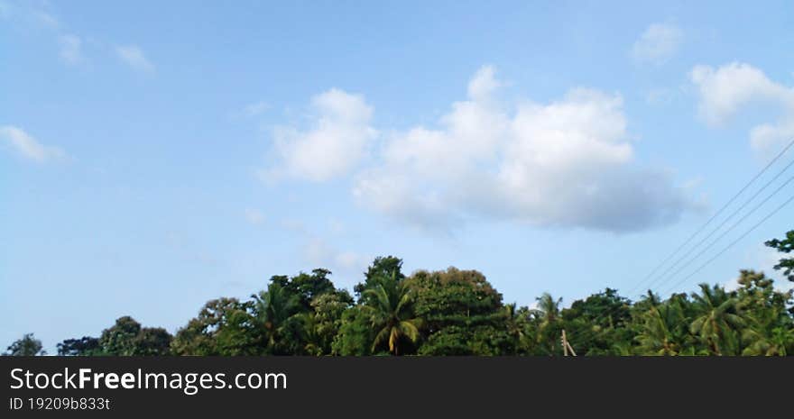 An evening sunset scene with clear blue clouds in a rural setting. A beautiful scene with coconut trees and other plants in the background.