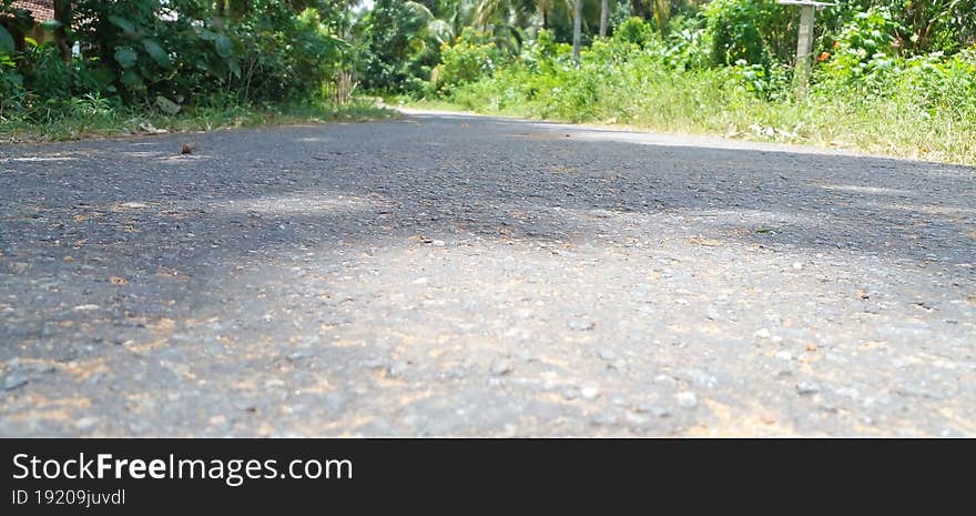 A view of a termac road in Sri Lanka. A beautiful environment with grass on the green background.