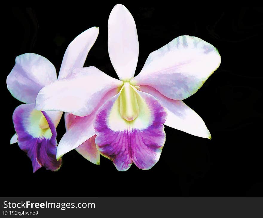 A close up shoot of a flower