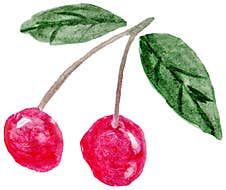Two Ripe Cherry Berries On A Branch With Leaves Hand-drawn With Watercolor Strokes Stock Image