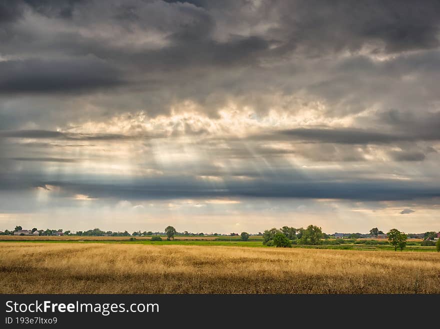 Cloudy sky over the grain field