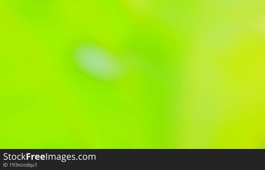 Blurred Abstract Green Nature Concept Background Design and Advertising Wallpaper  website advertising banner