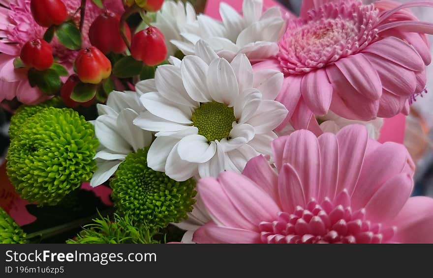 flower composition with chamomiles and gerberas, summer background