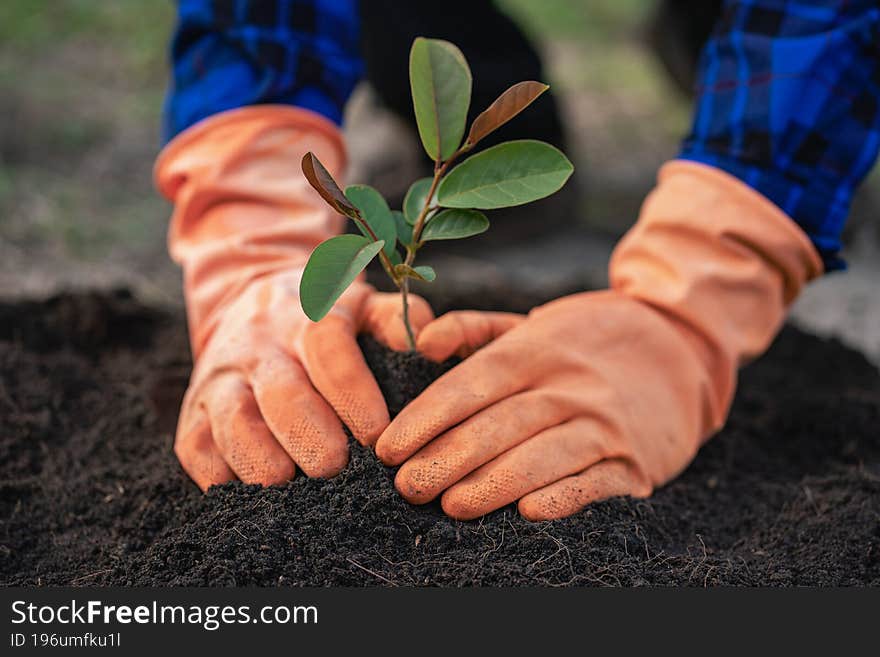 Man is planting trees and to help increase oxygen in the air and reduce global warming, save the world, save lives and plant tree ideas.