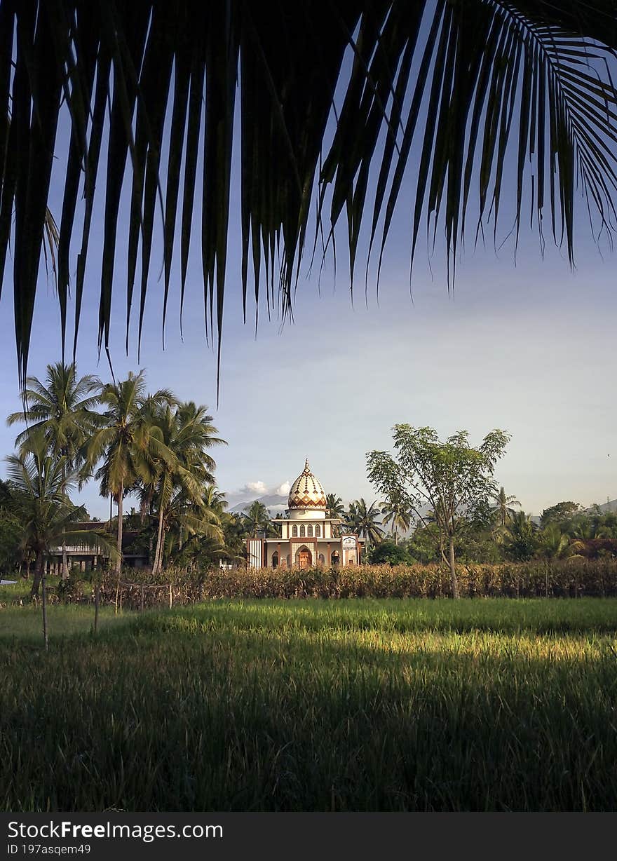 Beautiful small mosque in the middle of rice field