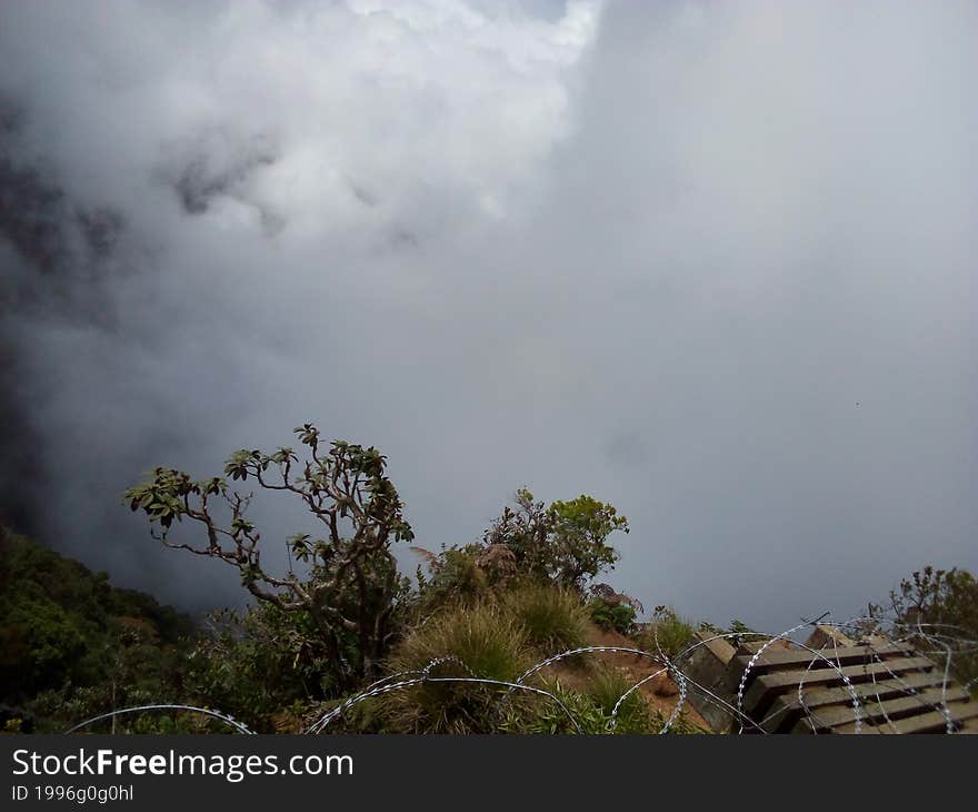 World& x27 s end horton plains natural park in srilanka