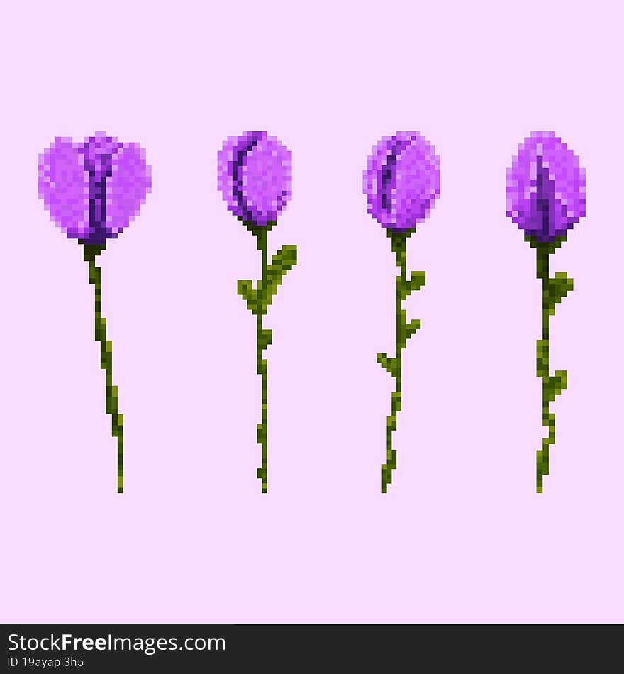 4 Purple Tulips Icons S