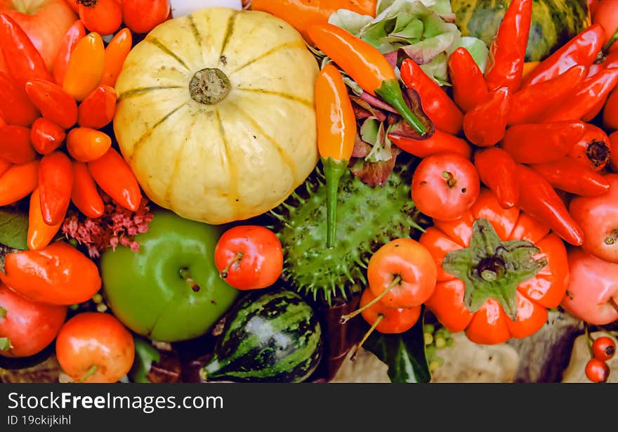 Gifts of nature, autumn still life, autumn fruits, vegetables and berries.