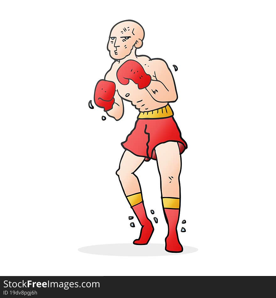 cartoon boxer