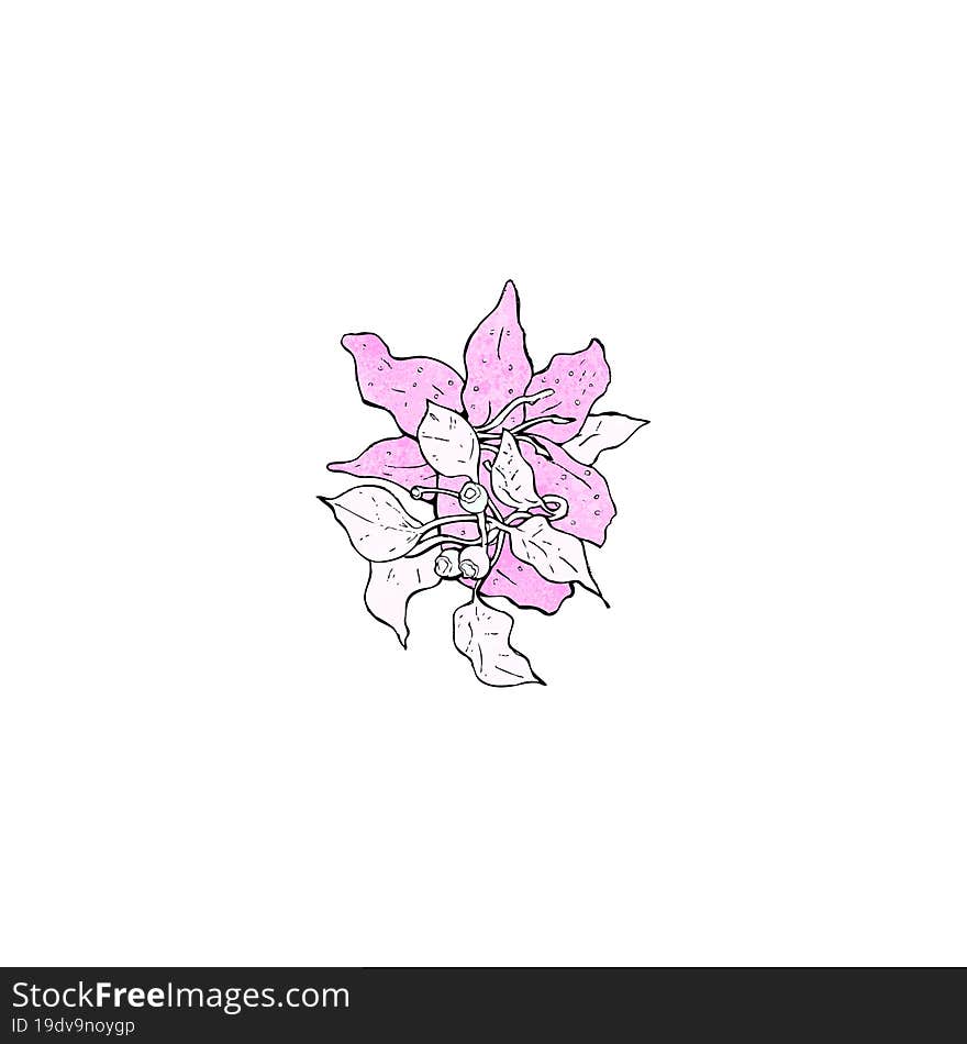 Flower Illustration