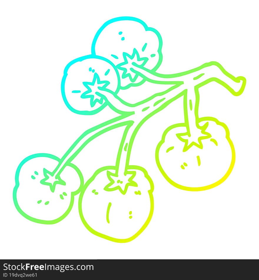 Cold Gradient Line Drawing Cartoon Tomatoes On Vine