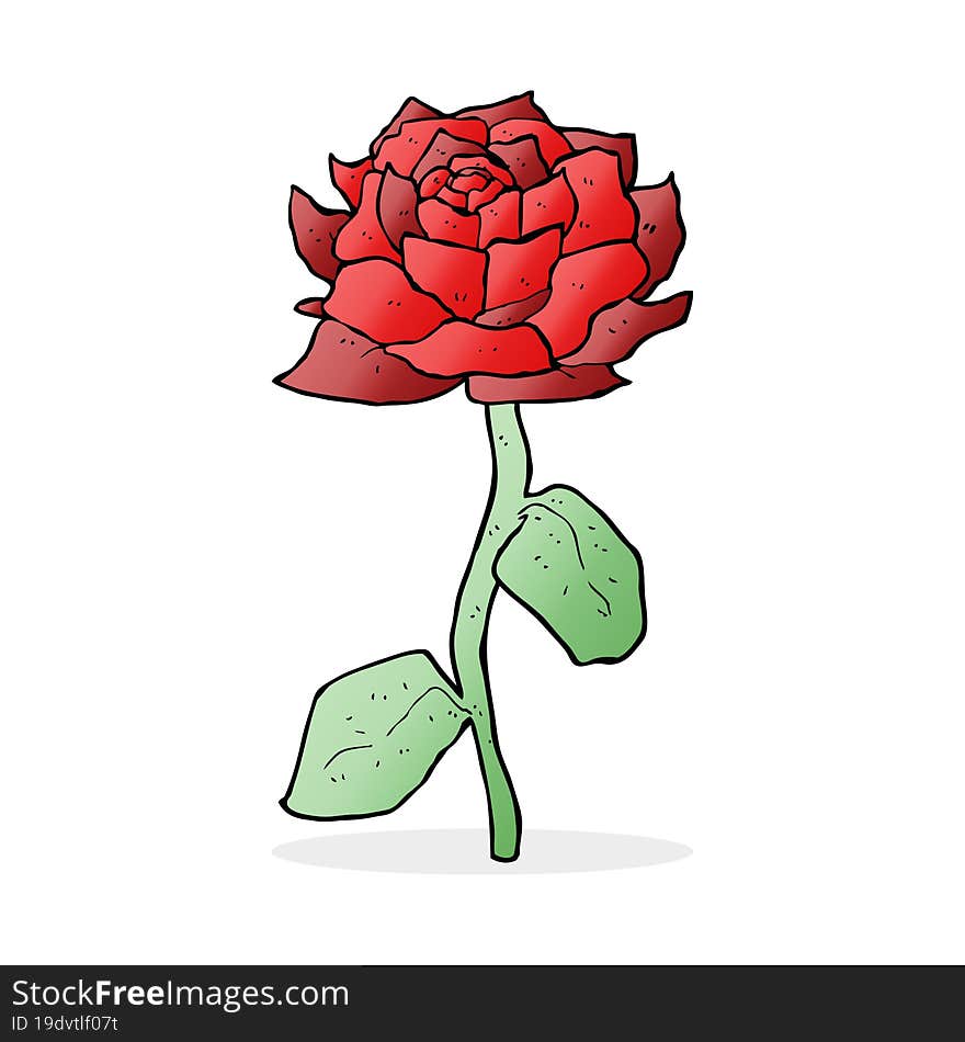 Rose Cartoon