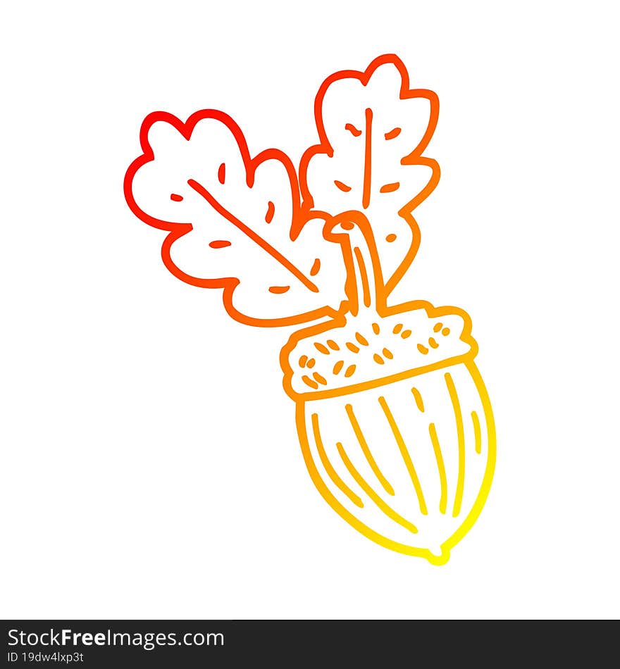 warm gradient line drawing cartoon acorn