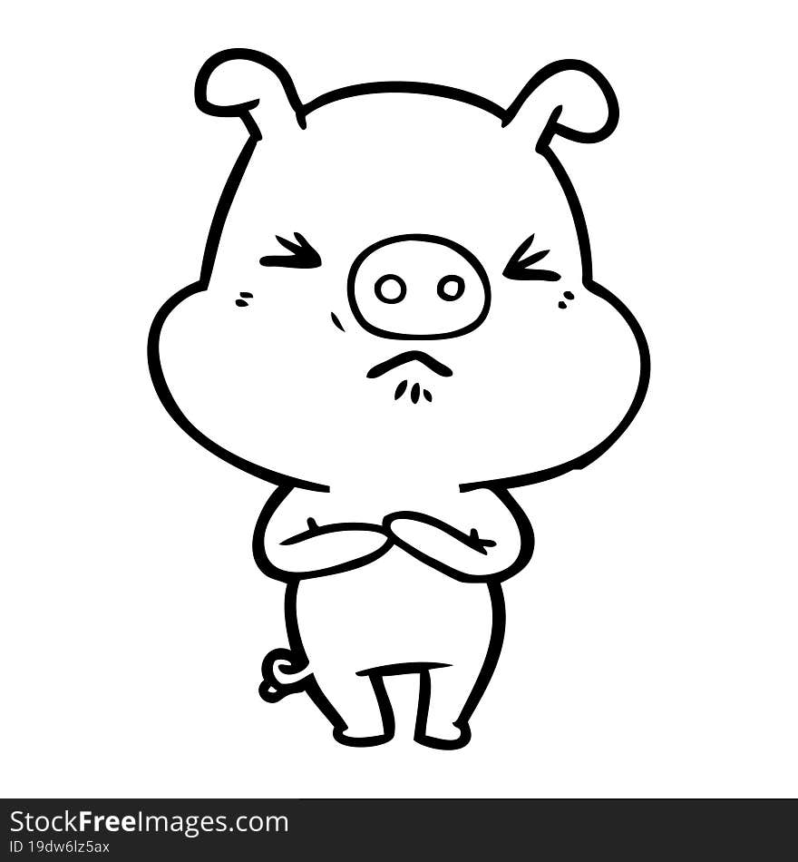 cartoon angry pig. cartoon angry pig