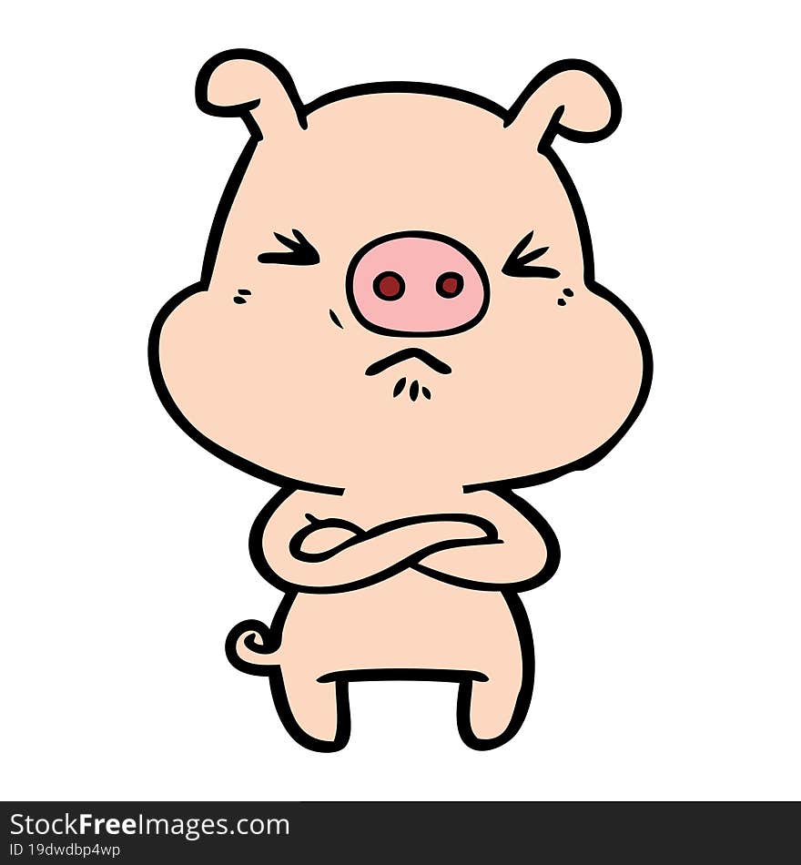 cartoon angry pig. cartoon angry pig