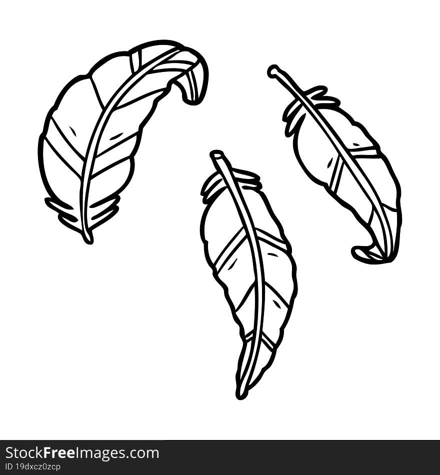 line drawing of a feathers. line drawing of a feathers