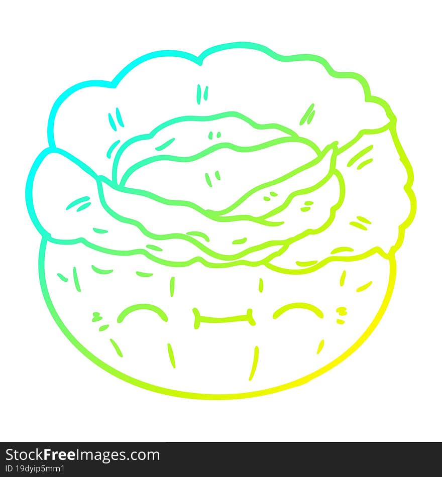 cold gradient line drawing cartoon cabbage