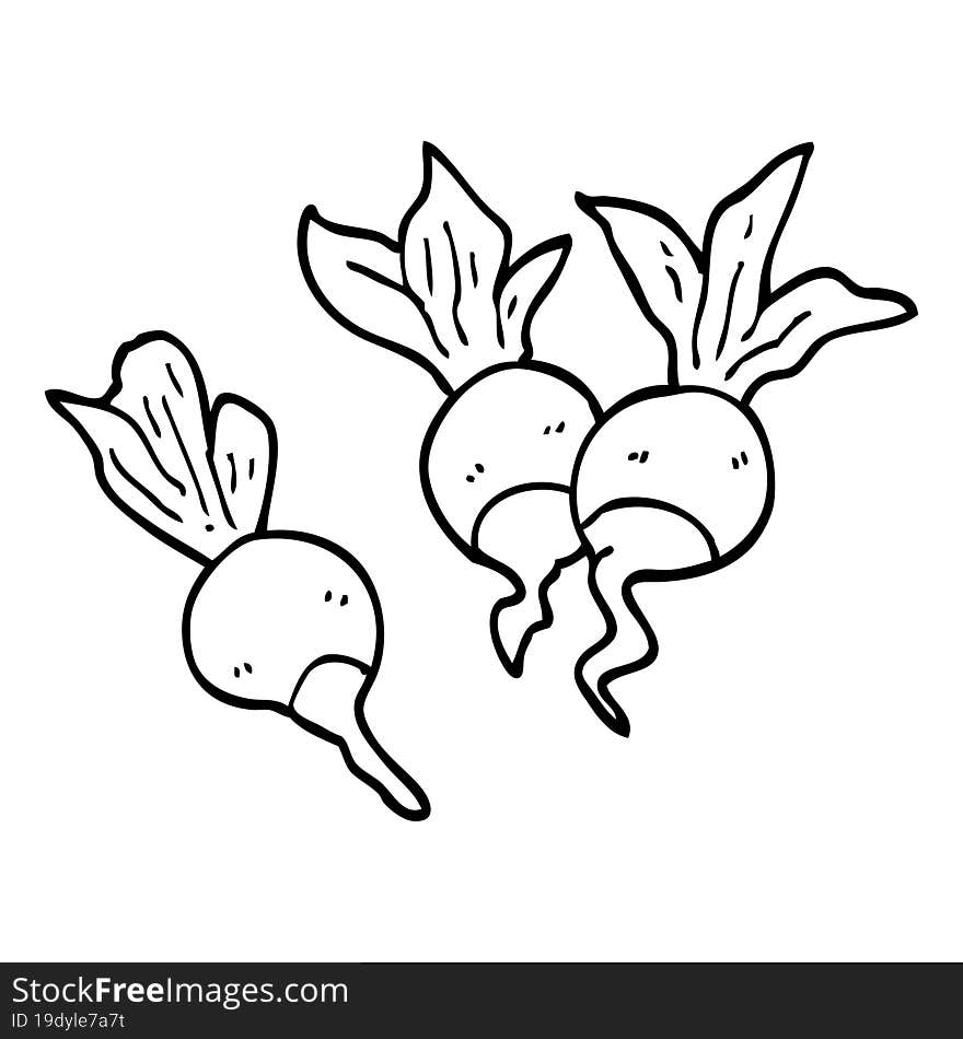 line drawing cartoon beetroot plants