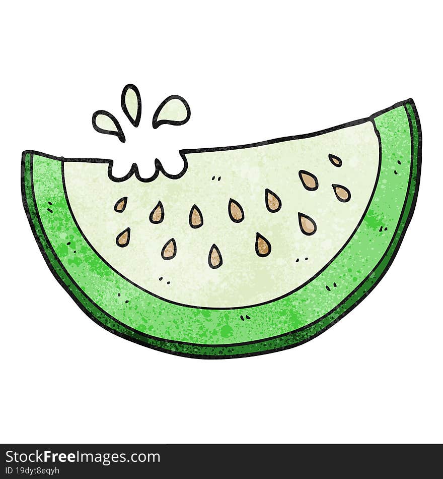 Textured Cartoon Melon Slice