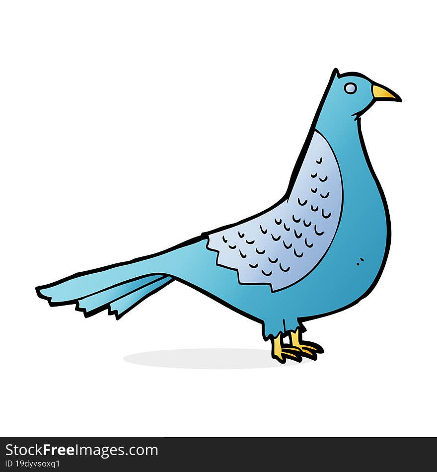 Cartoon Bird