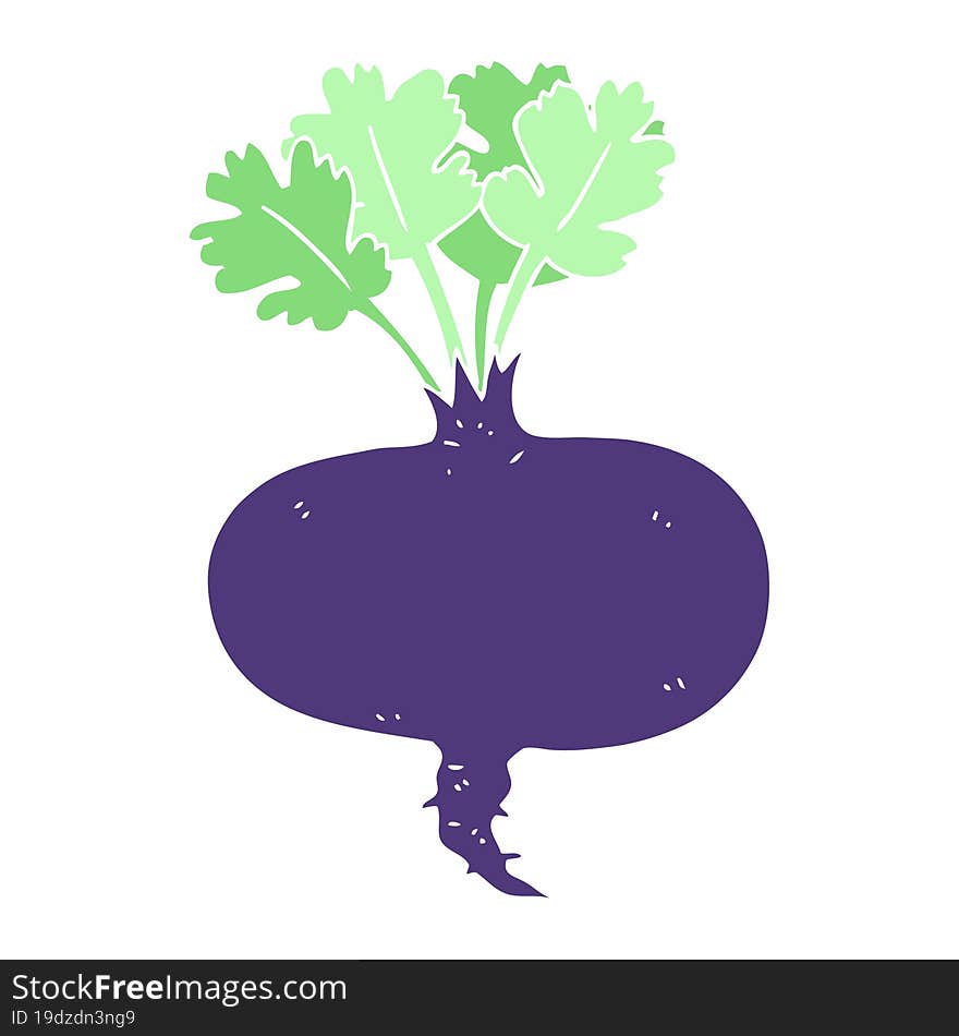 flat color illustration of beetroot. flat color illustration of beetroot