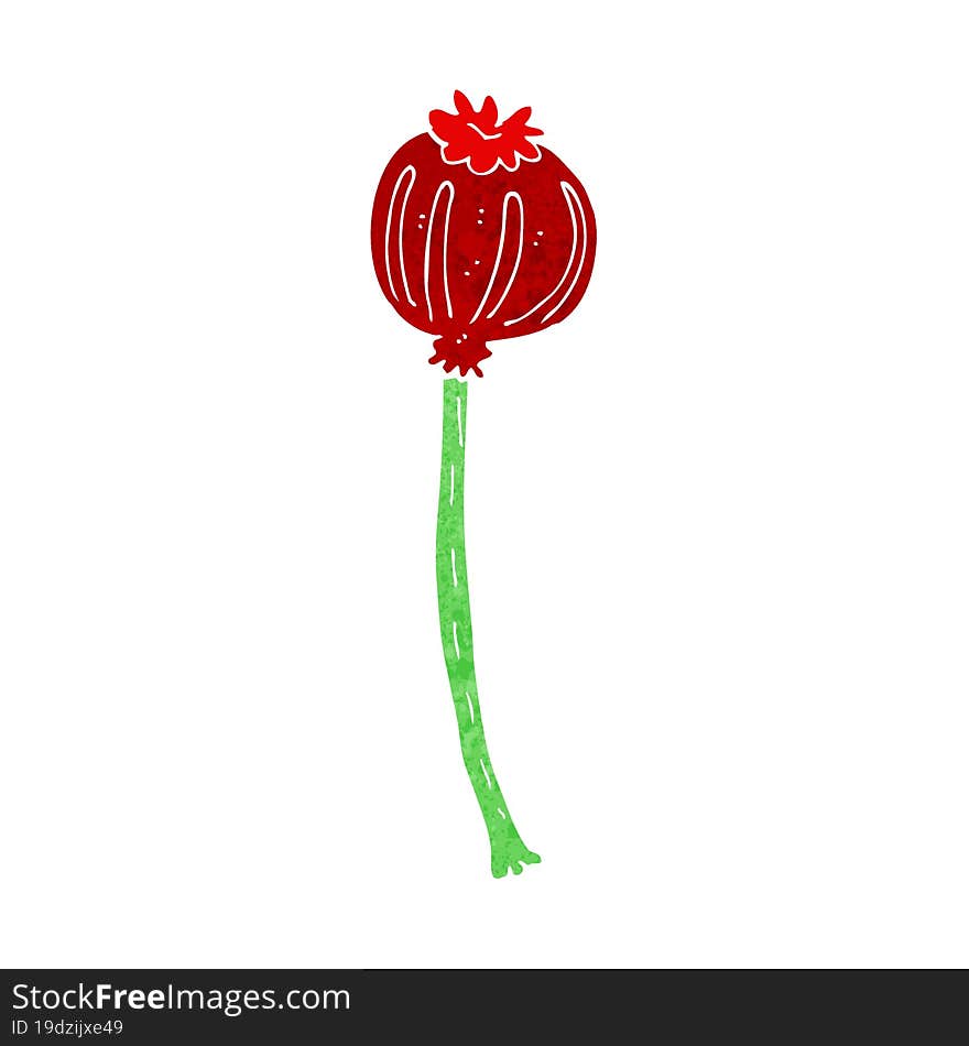 cartoon dried poppy