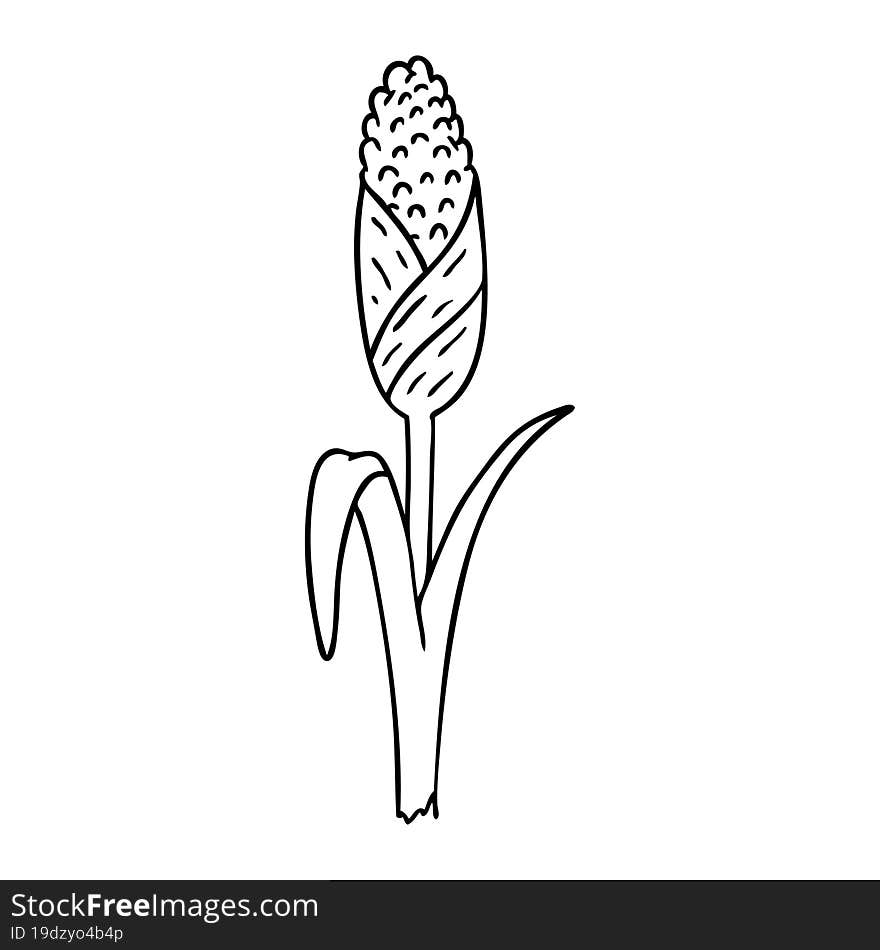 Line Drawing Doodle Of Fresh Corn On The Cob