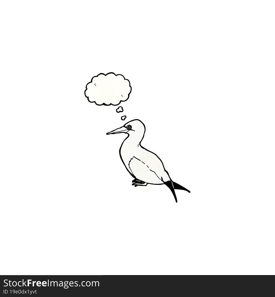 cartoon sea bird