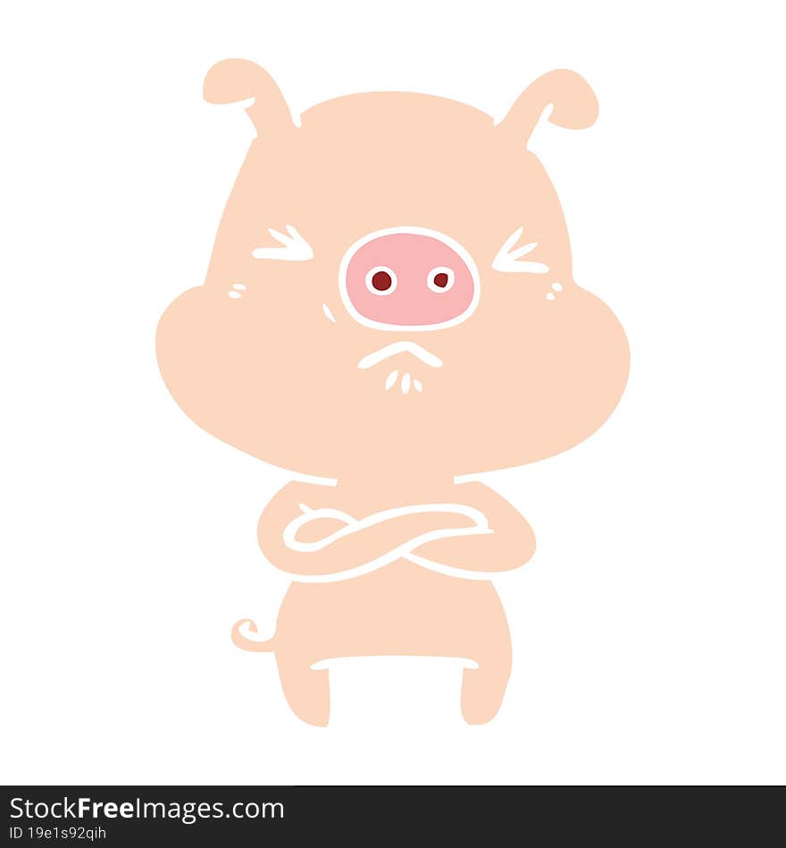 flat color style cartoon angry pig