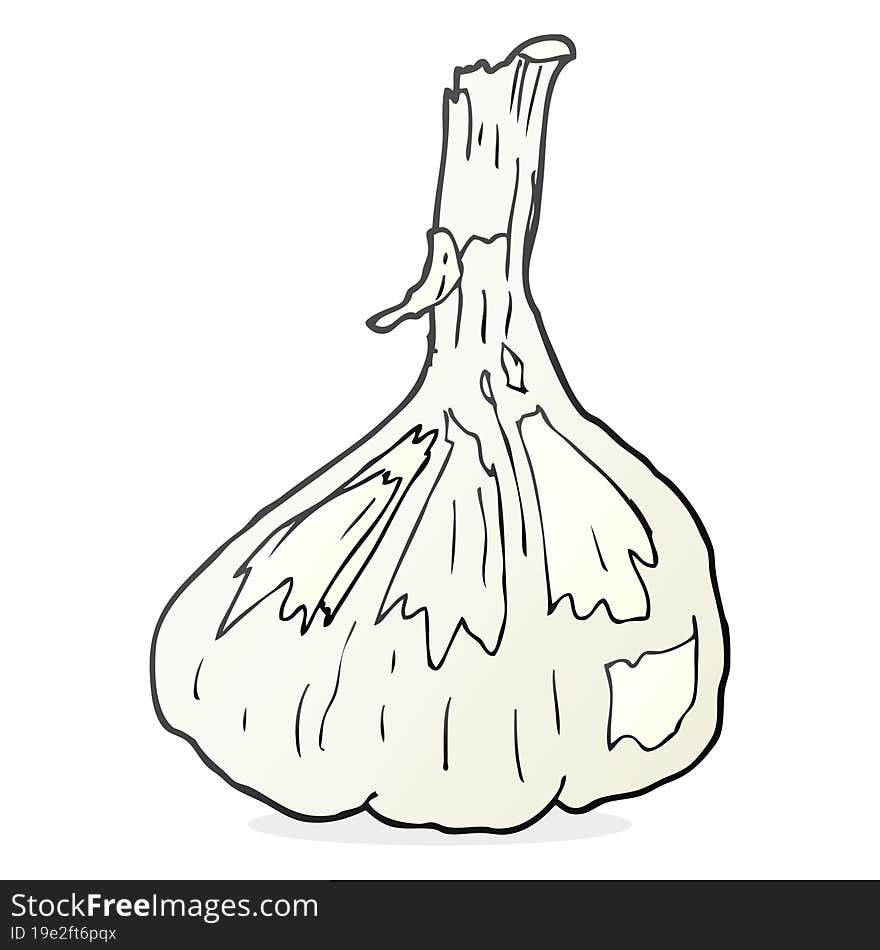 Cartoon Garlic