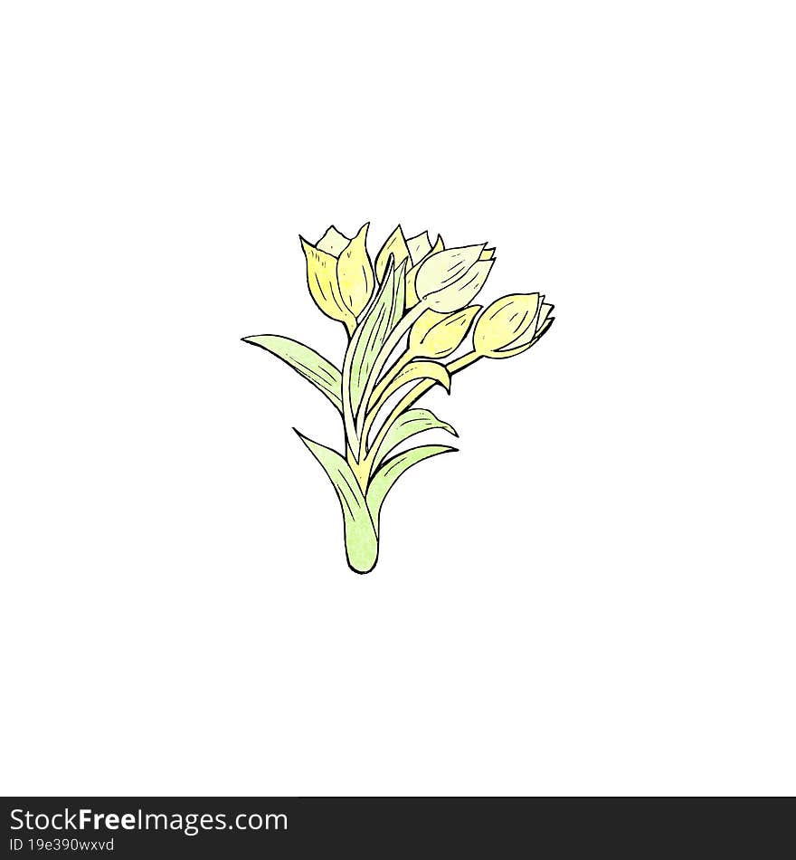 Flowers Illustration