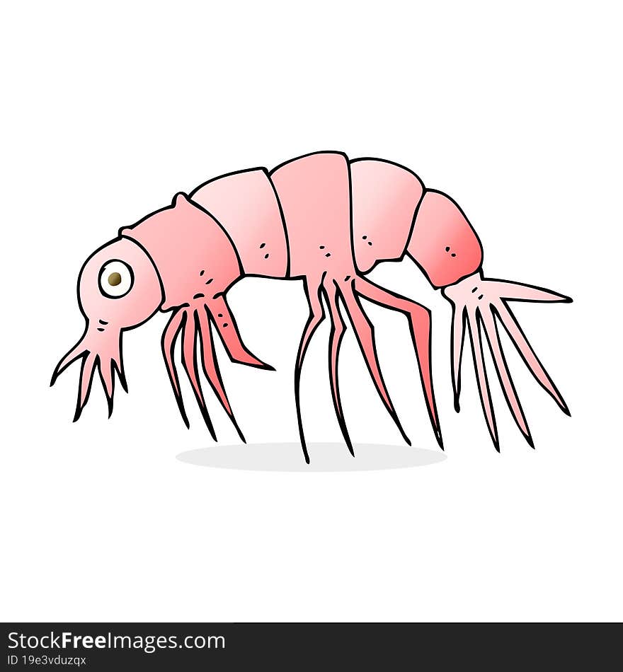 cartoon shrimp