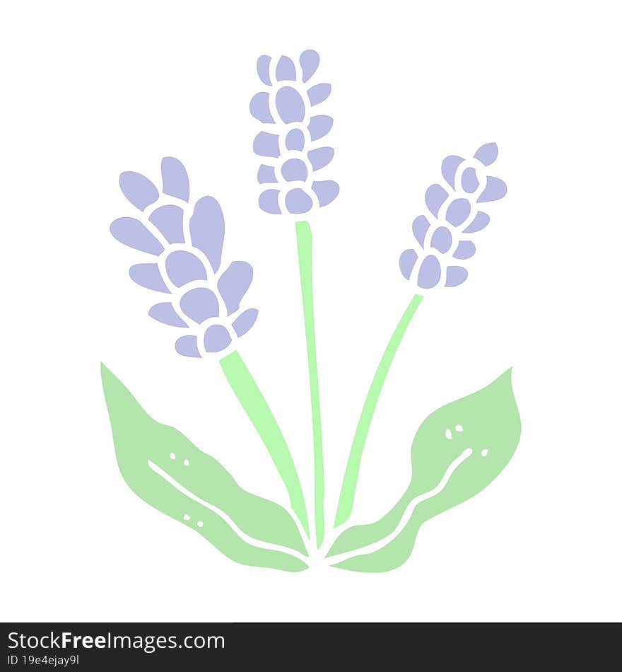 flat color illustration cartoon lavender