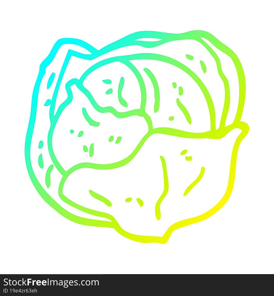 cold gradient line drawing cartoon cabbage