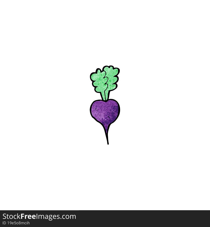 Cartoon Beet